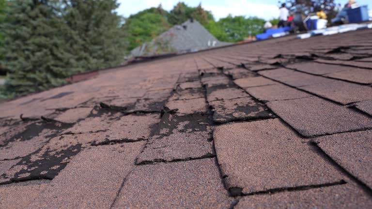 Best Storm Damage Roof Repair  in Newmanstown, PA
